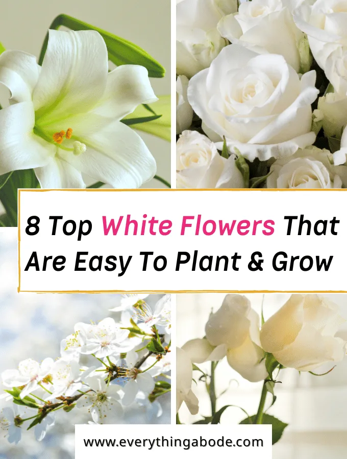 White flowers for gardens
