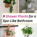 shower plants