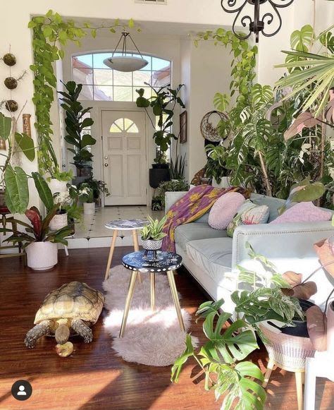 Bright living room with lots of big green plants