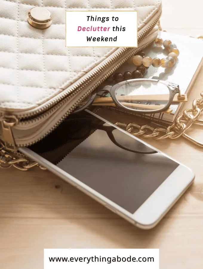  purse / everyday bag