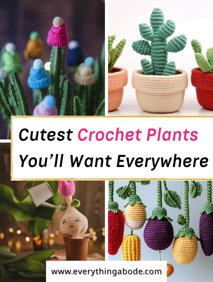 Cute Crochet Plant Ideas