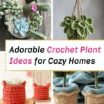 Cute Crochet Plant Ideas