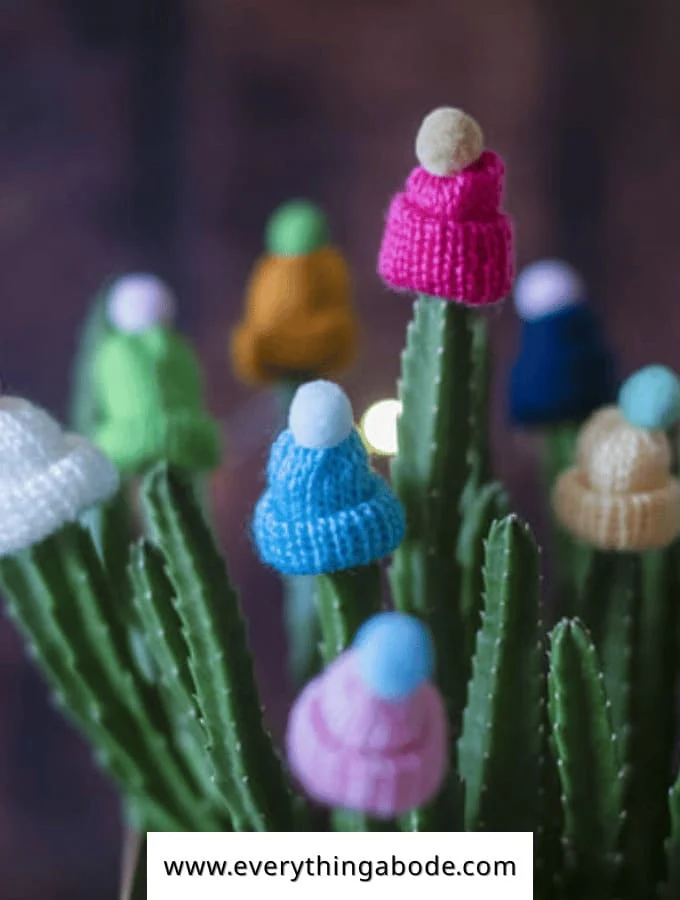 Cute Crochet Plant Ideas