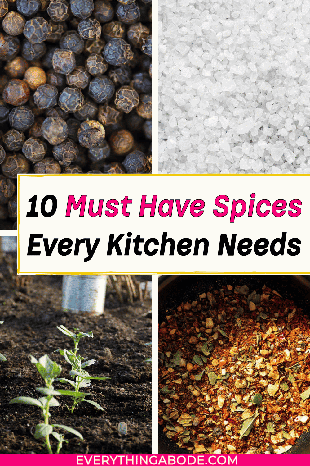 Spices You Need the Second You Move Out 