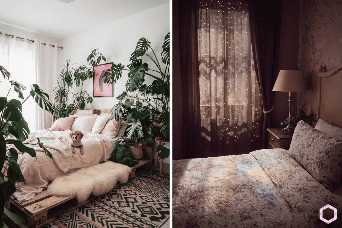bedroom plants that help you sleep better