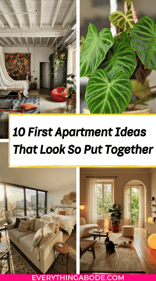 first apartment ideas for women