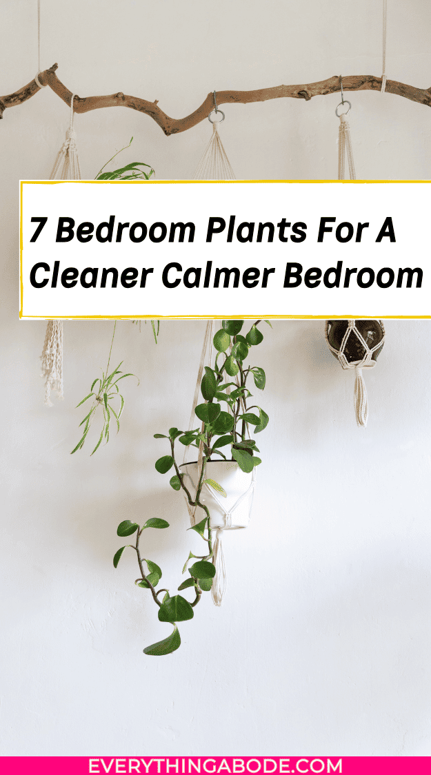 houseplants for better sleep