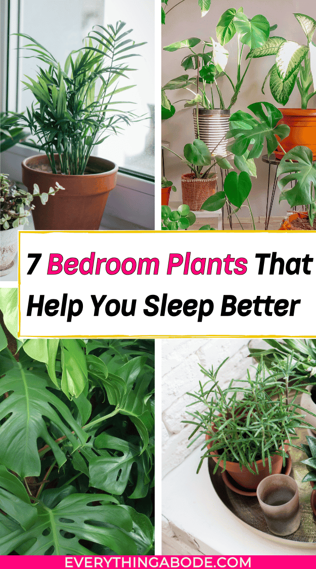 houseplants for better sleep