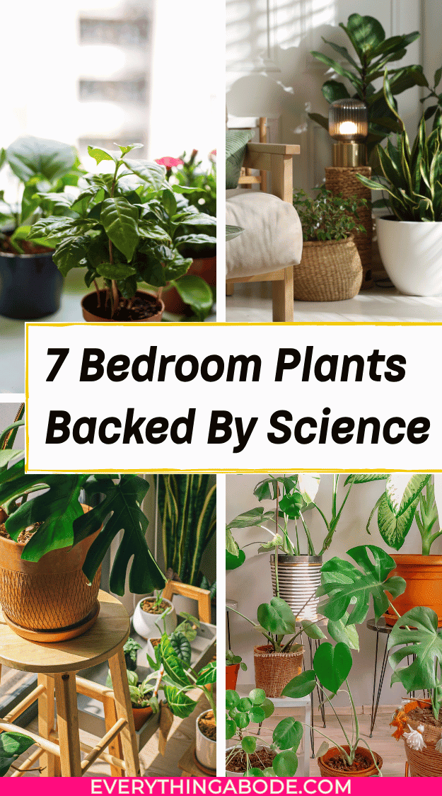 houseplants for better sleep