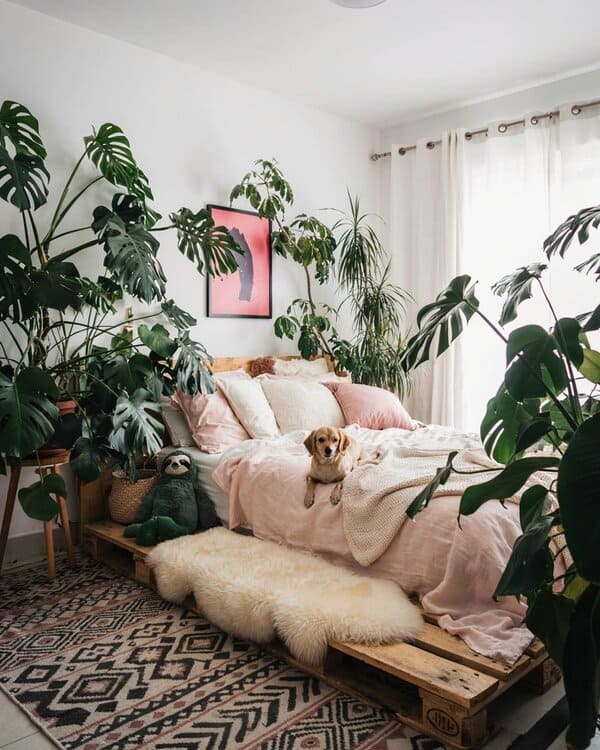 houseplants in bedroom for better sleep