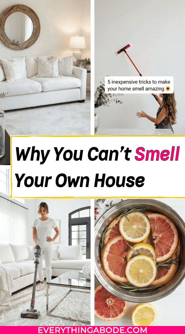 Why You Can't Smell Your Own House
