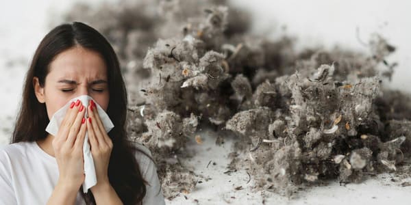 Woman sneezing beside a close-up image of household dust.