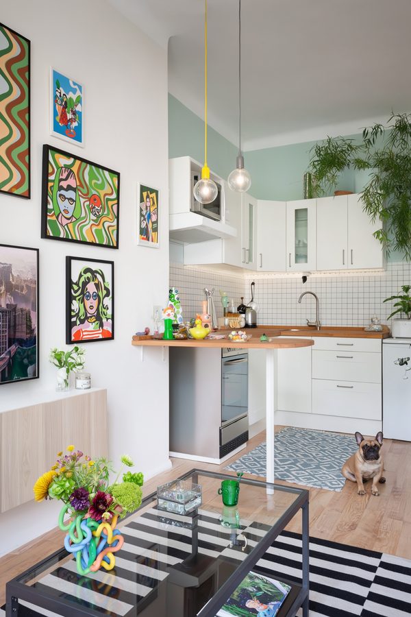 Open-plan apartment kitchen with a breakfast counter, colorful wall art and plants